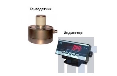 Динамометр электронный ПетВес ДОС-3-100И (3) c WI-4