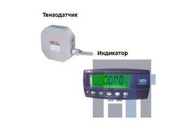 Динамометр электронный ПетВес ДОC-3-0,3И (1) c R-320