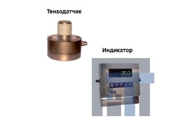 Динамометр электронный ПетВес ДОС-3-20И (3) c М-350